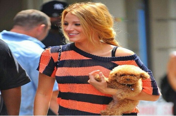 Blake Lively and Teacup Maltipoo