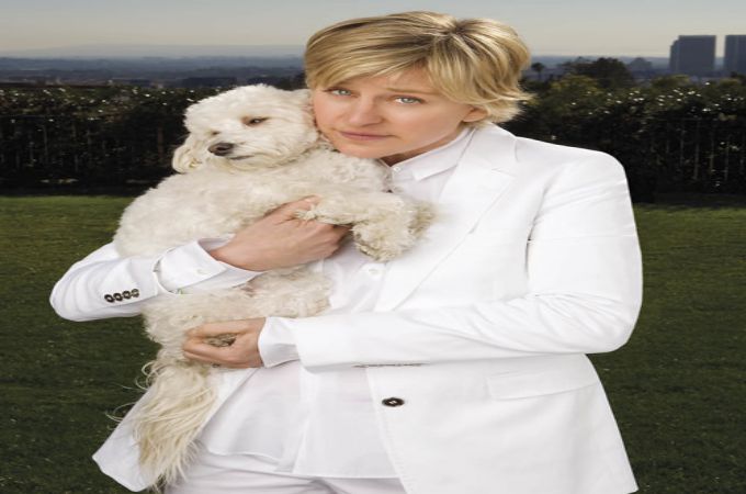 Ellen DeGeneres & white maltese poodle mix