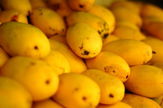 Fresh mangoes
