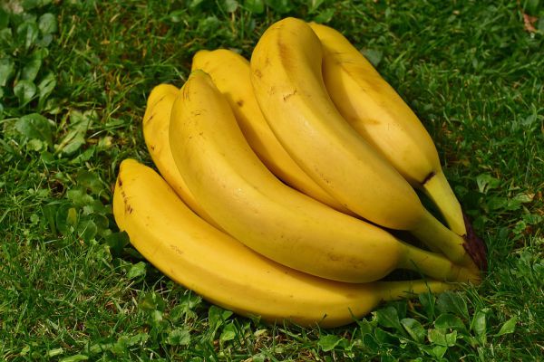 Bananas