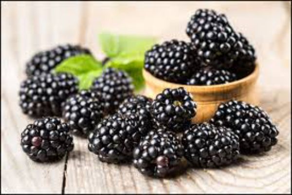 Blackberries