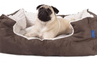 Best Waterproof dog beds for dogs