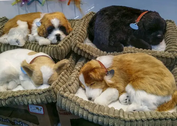 Elegant Dog Beds
