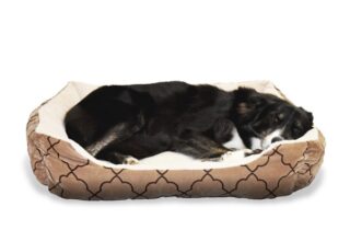 Sofa Beds for Dogs collections