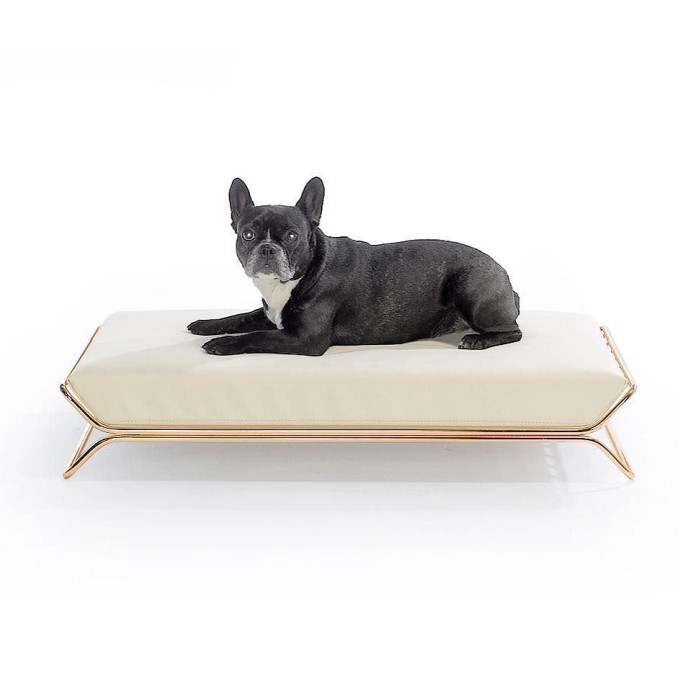 chew proof dog bed Guide