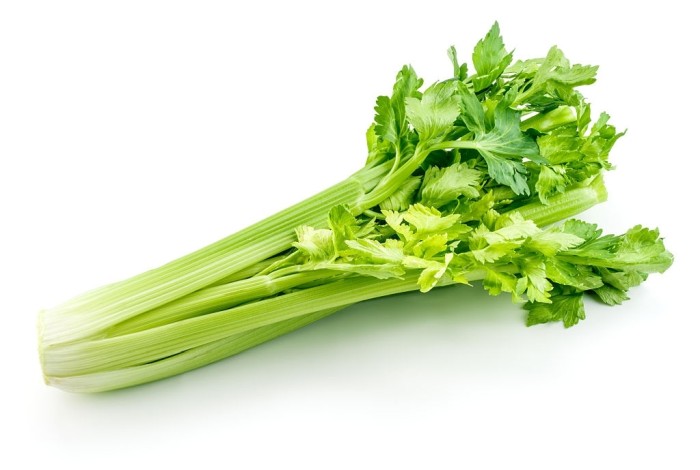 Fresh Celery