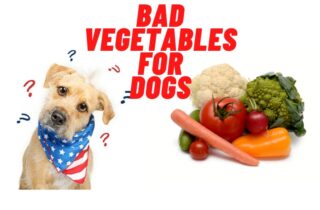 List of Bad vegetables for dogs