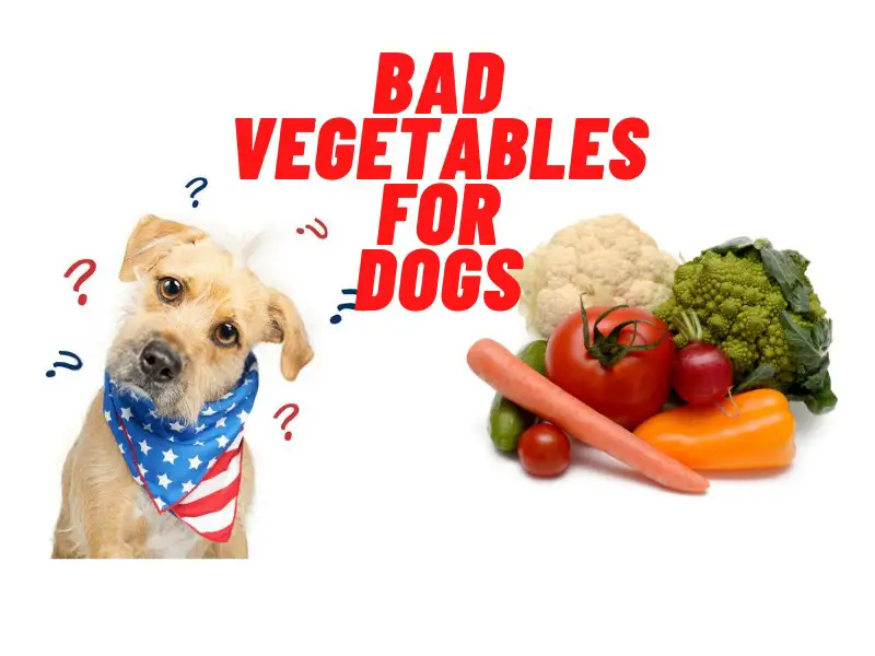 List of Bad vegetables for dogs